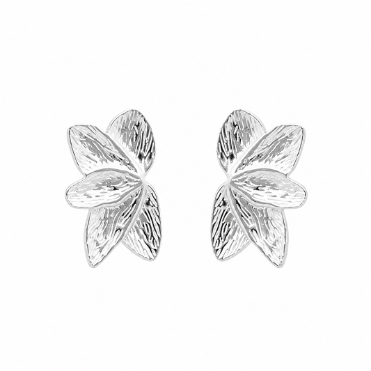 Leaf Oorbellen Zilver